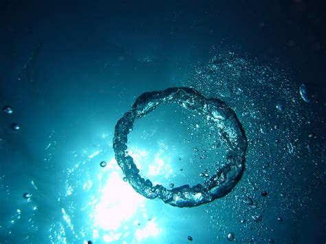 oxygen ermita photos|500+ Free Oxygen & Nature Images .